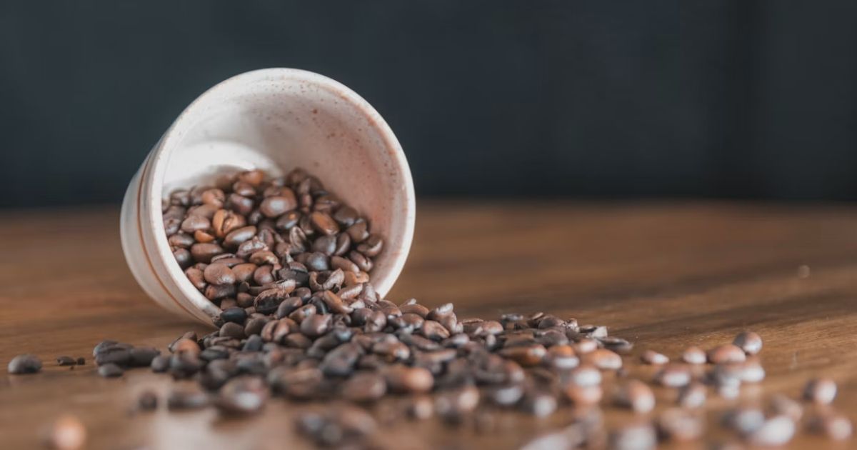 best filter coffee Beans