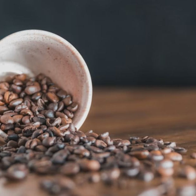 best filter coffee Beans
