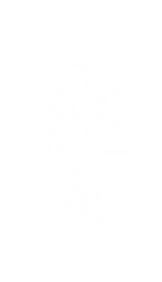 7g Torrefattori